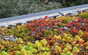 the cost of Ballingry green roof installation