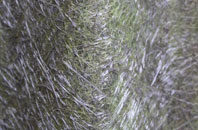 Ballingry fibreglass roof work